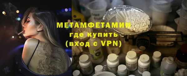сатива Беломорск