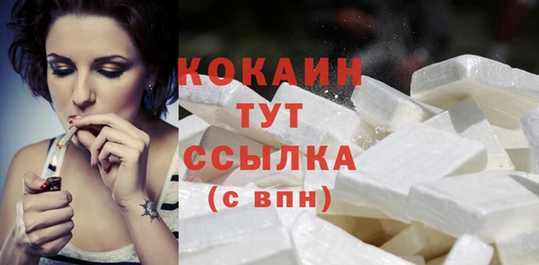 сатива Беломорск