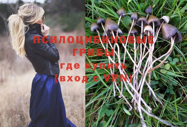 мяу мяу мука Баксан