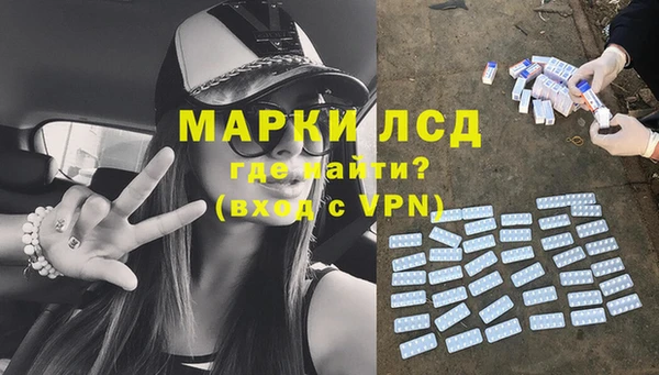 сатива Беломорск