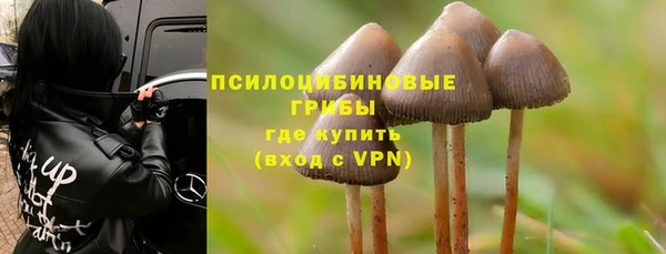 скорость Белокуриха