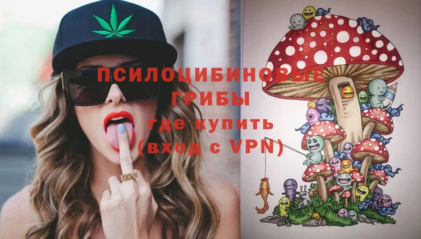 сатива Беломорск