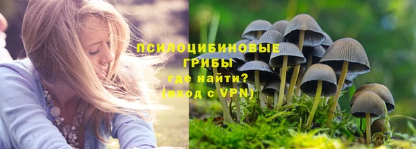 прущие грибы Белоозёрский