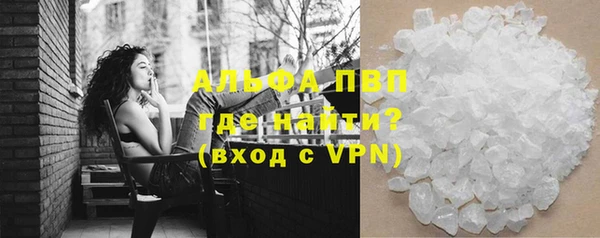 сатива Беломорск