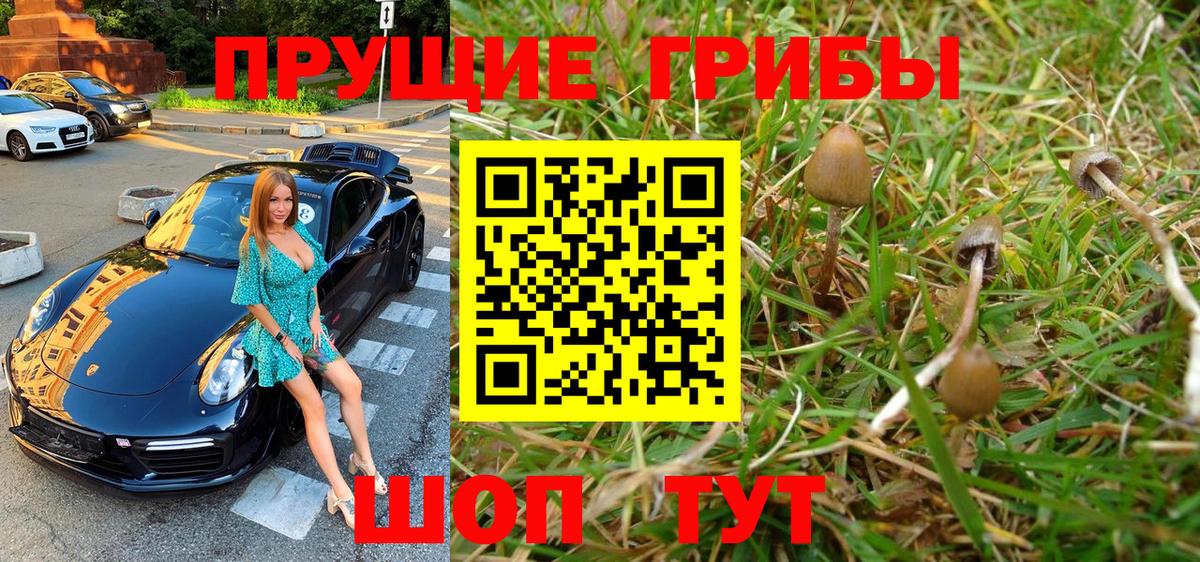 Новый Уренгой  Галлюциногенные грибы Cubensis  Вход с VPN 