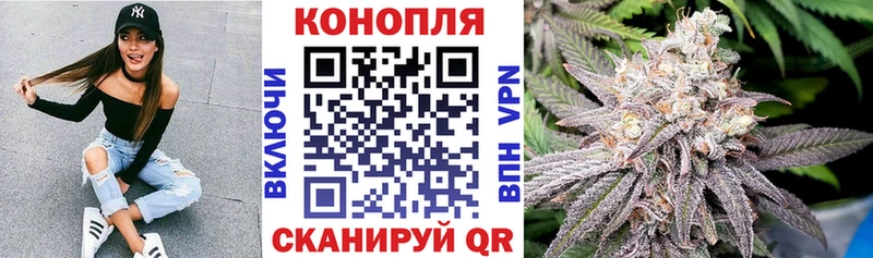 как найти   МЕГА ONION  Бошки марихуана тримм  Новый Уренгой 